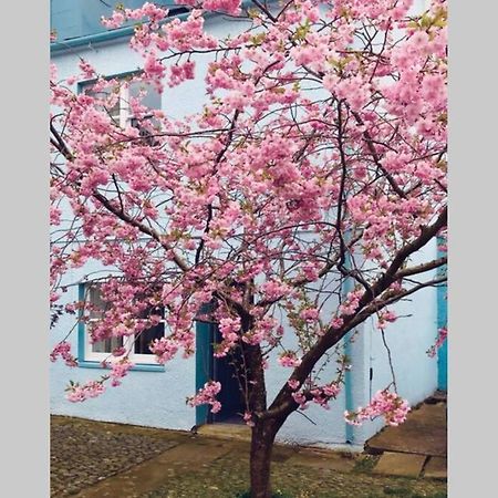 Albion Cottage Cockermouth Buitenkant foto