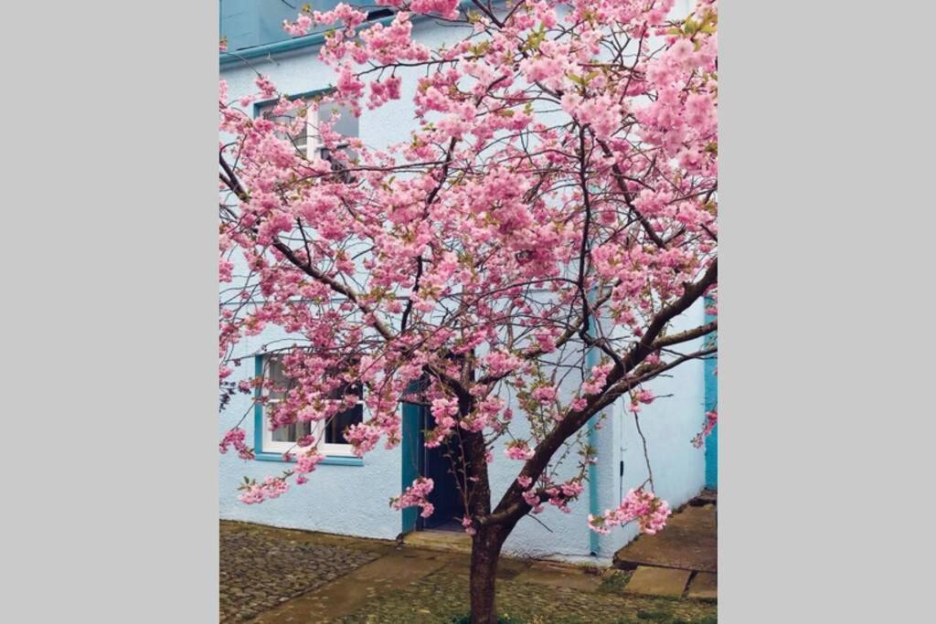 Albion Cottage Cockermouth Buitenkant foto
