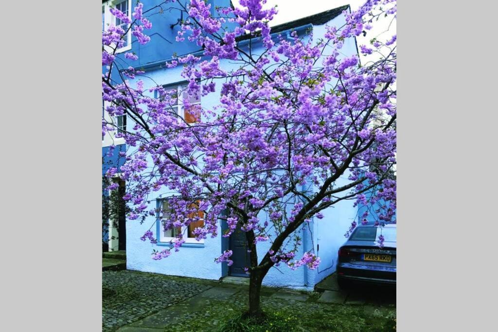 Albion Cottage Cockermouth Buitenkant foto